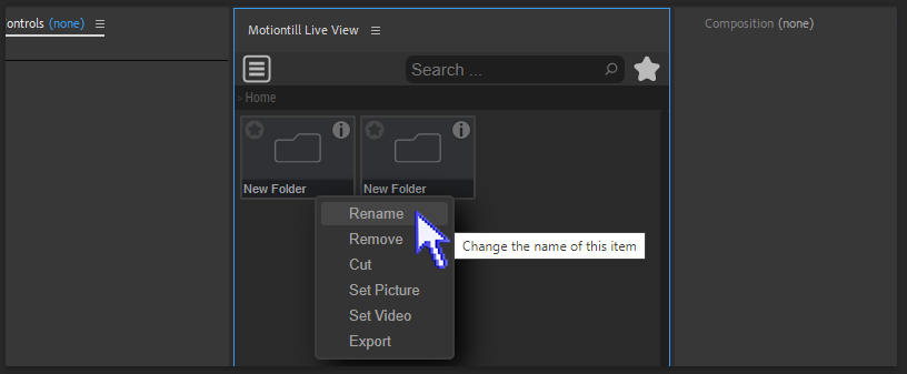 change items name in motiontill liveview extension